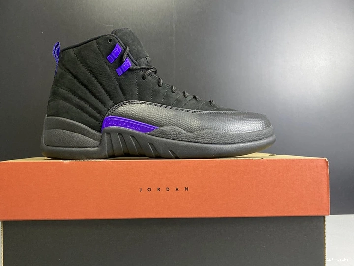 12 CT8013-005  Air Jordan Concord” “Dark 0208